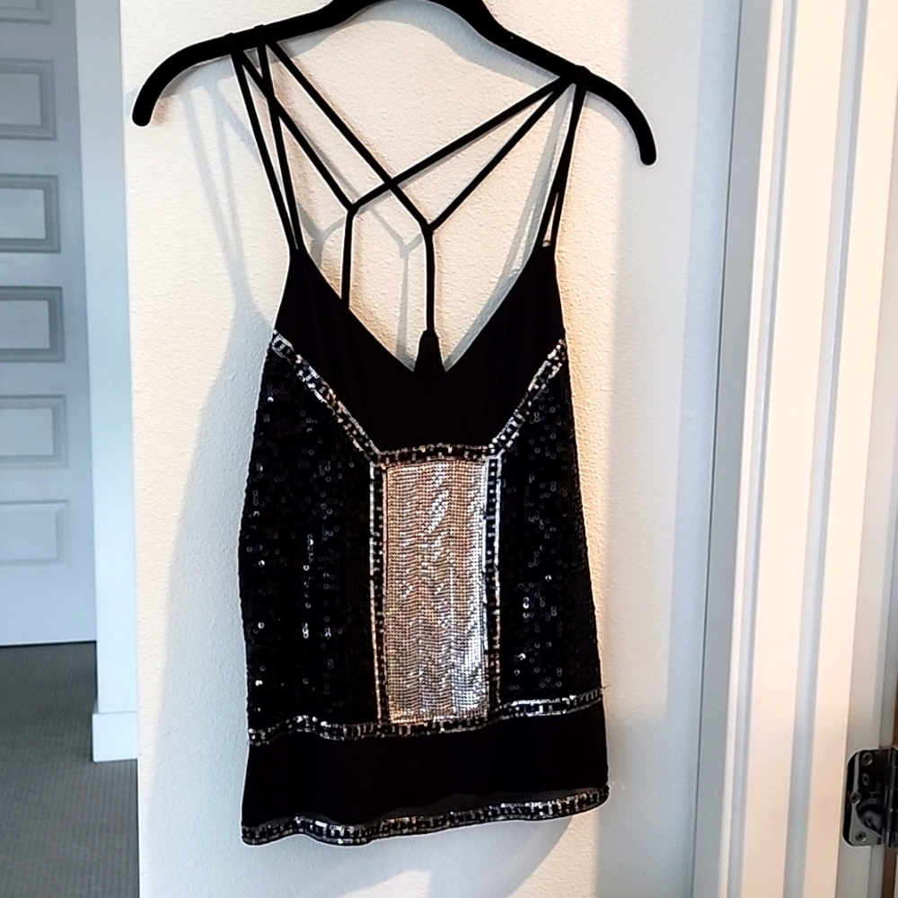 Express Sparkly Top